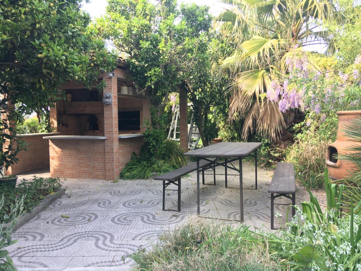 Casa Das Flores Leiria Silvercoast Portugal Monte Redondo Dış mekan fotoğraf